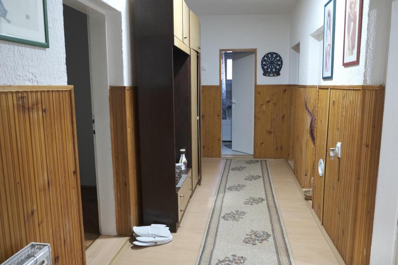Nikodijevic Apartment Vrsac Bagian luar foto