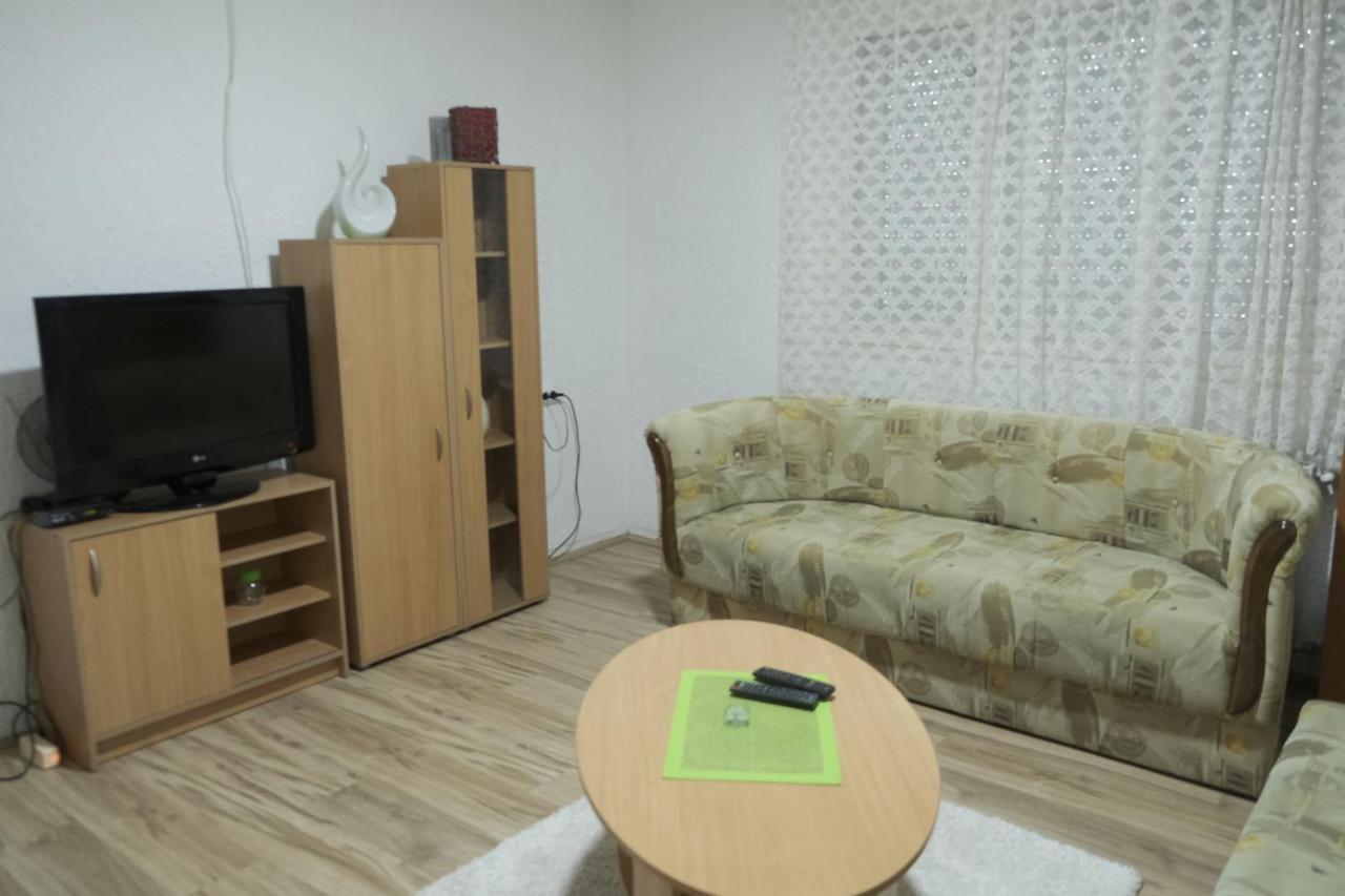Nikodijevic Apartment Vrsac Bagian luar foto
